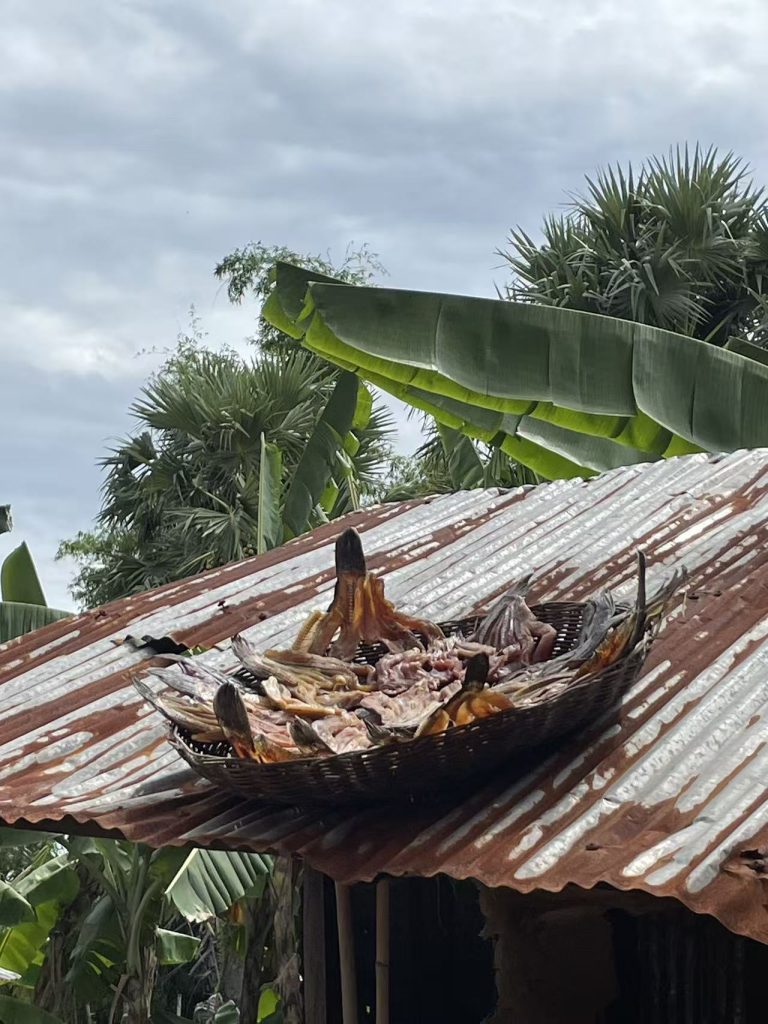 Slices of black fish being sun-dried on a rooftop in rural Cambodia — a traditional preservation method used during the dry season.