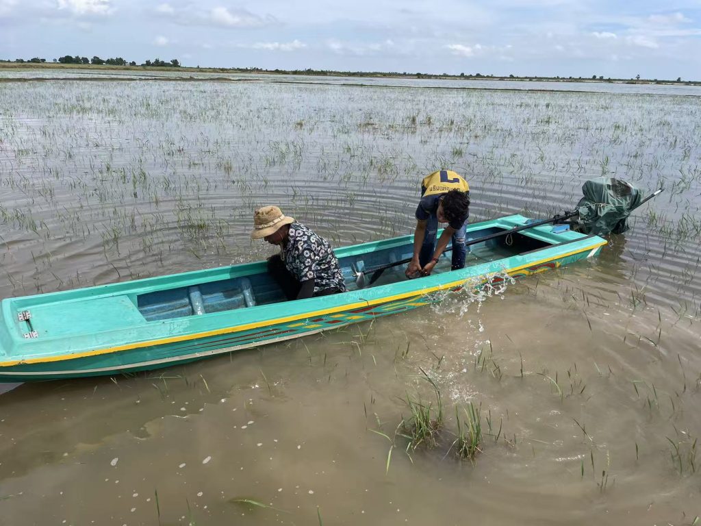 Two Cambodian villagers using a small fiberglass boat to navigate flooded rice fields near Tonle Sap Lake during the rainy season.