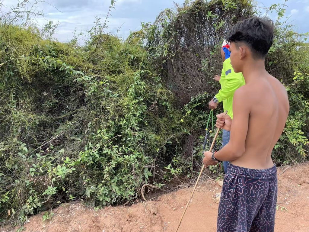 Local villagers in Cambodia hunting field mice with slingshots near the bushes along Tonle Sap Lake.