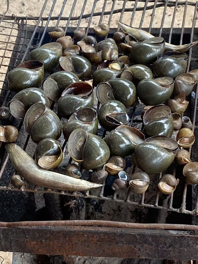 Grilled freshwater snails on a charcoal stove in rural Cambodia.
