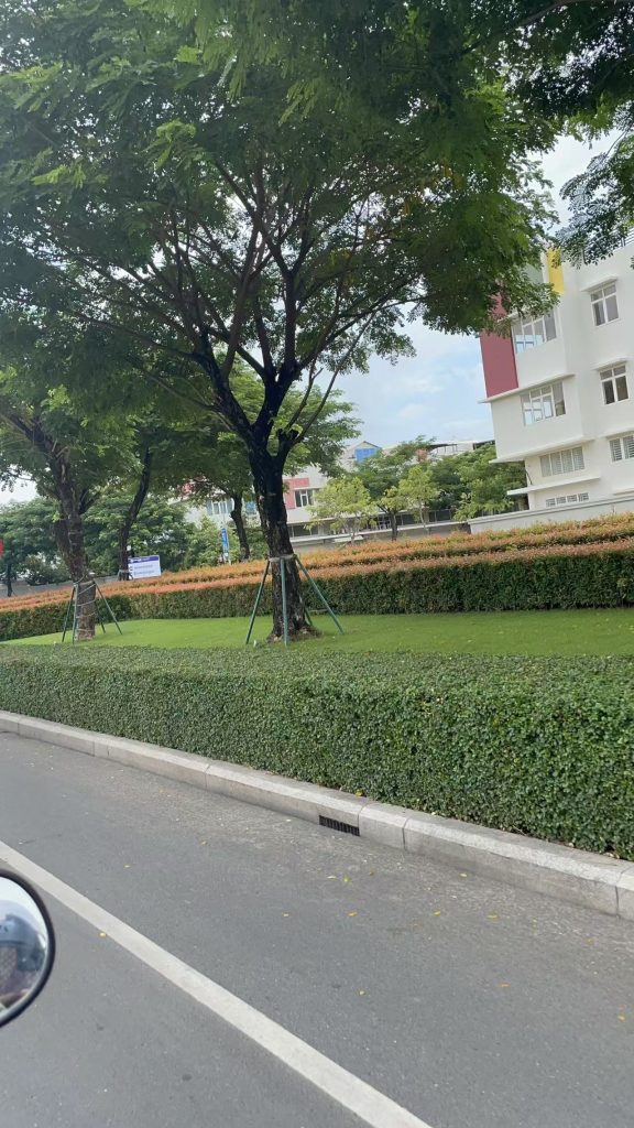 Phnom Penh urban roadside with green trees and modern buildings, showing city development in Cambodia
